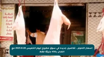 أسعار اللحوم.. تفاصيل جديدة في سوق مطروح ليوم الخميس 28-8-2025 مع الضأن بـ450 جنيهًا فقط